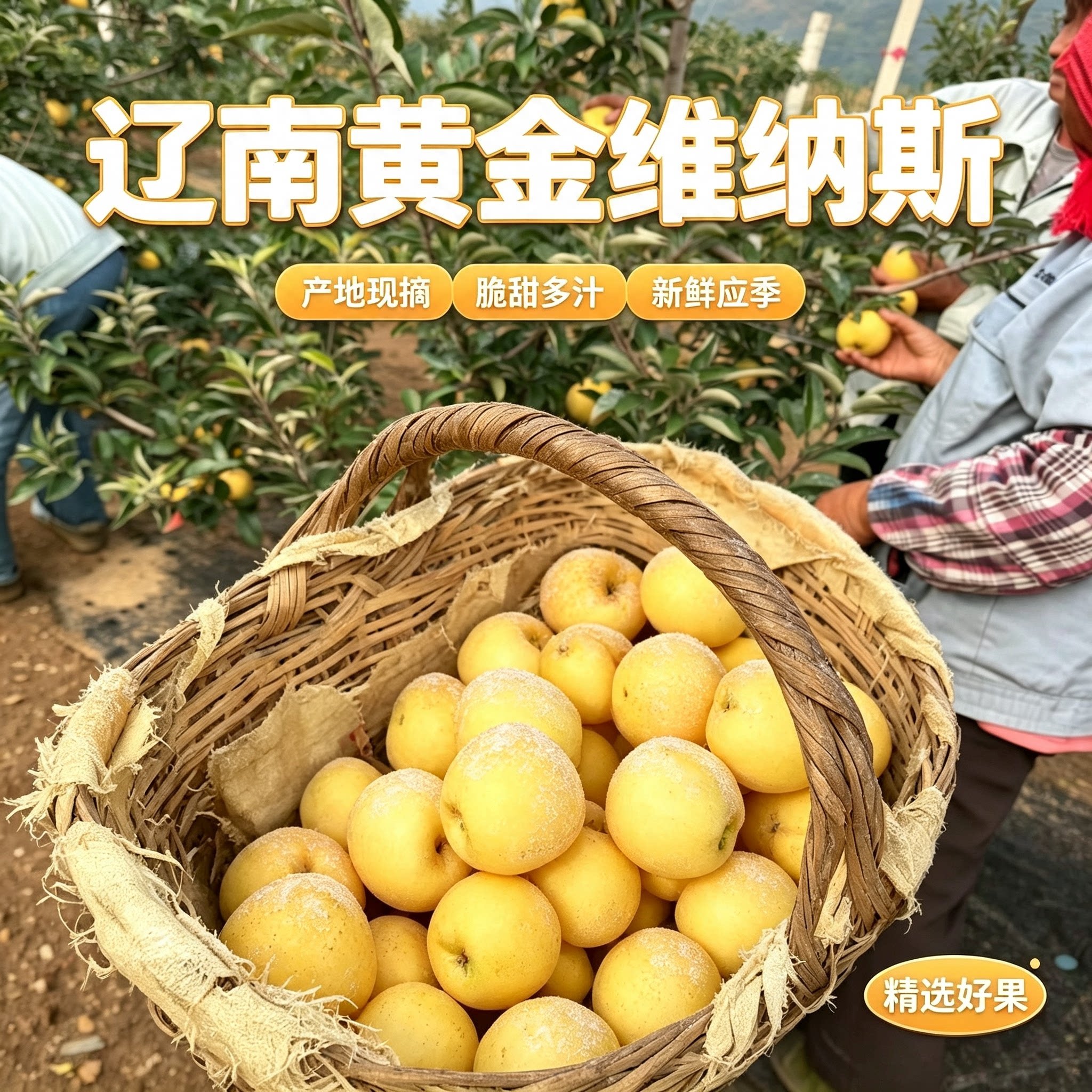 【千人复购】特大苹果