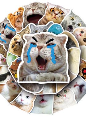 50PCS Cartoon Kawaii Cat Meme Graffiti Stickers DIY Notebook