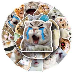 50PCS Cartoon Kawaii Cat Meme Graffiti Stickers DIY Notebook