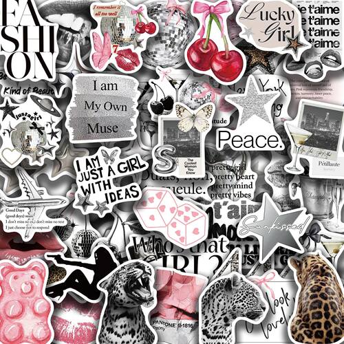 50PCS Silver Lucky Girl Retro Aesthetic Stickers Phone Guita