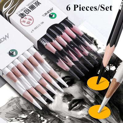 6 Pieces/Set Artist Black White Charcoal Pencils Set for Dra