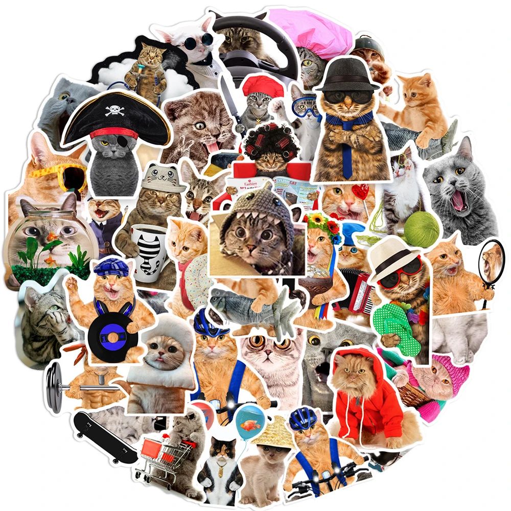 66pcs Cute Funny MEME Cat Stickers Kawaii Cartoon Animals De