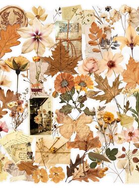 50PCS Withered Flowers PET Sticker Aesthetic Hand Accounting