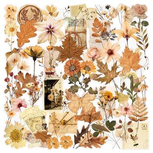 50PCS Withered Flowers PET Sticker Aesthetic Hand Accounting