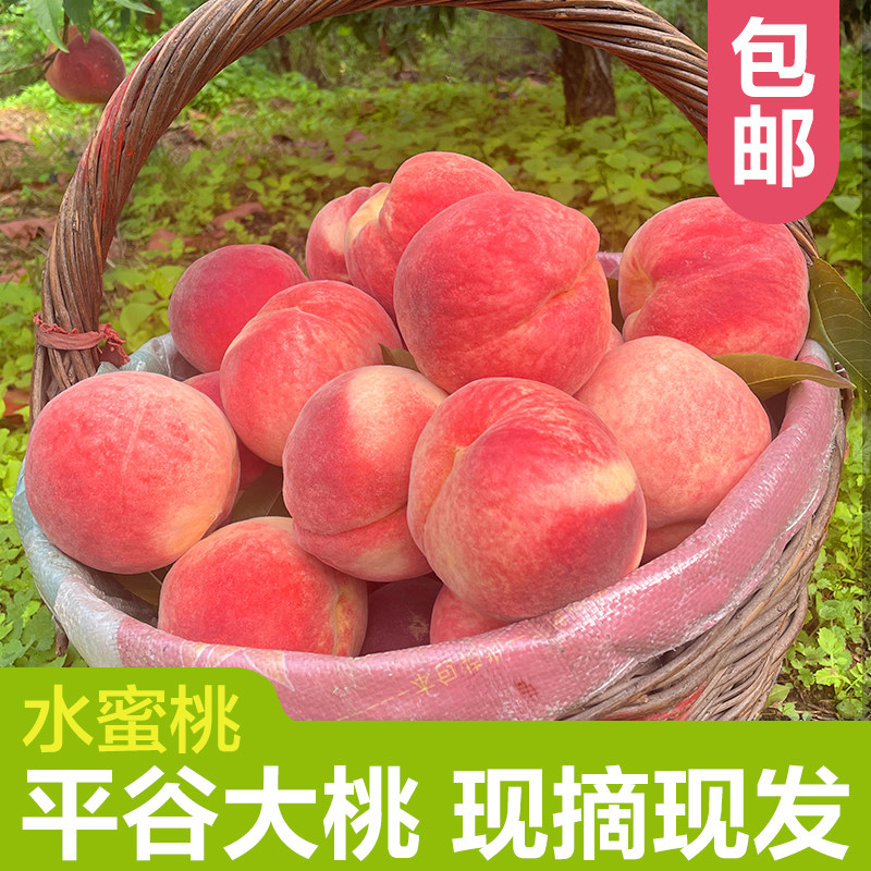 平谷大桃当季水蜜久保桃新鲜孕妇水果礼盒装果园现摘现发顺丰包邮