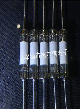T10AH250VP 10A 250V 慢断 带引脚 力特陶瓷保险丝 进口原装 直拍
