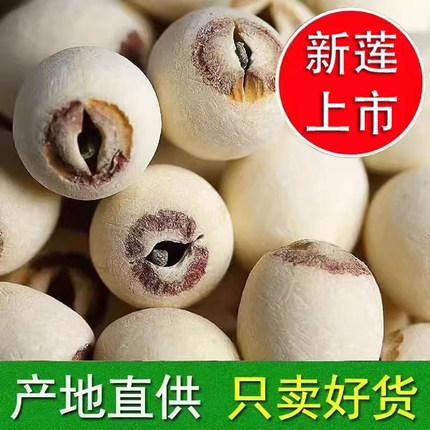 莲子带芯磨皮白莲子干货500g新鲜湘莲结婚用有心大粒正宗连子无硫