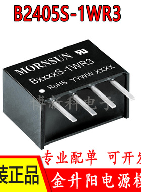 B2405S-1WR3/2403/2409/2412/2415/2424金升阳DC-DC电源模块 原装
