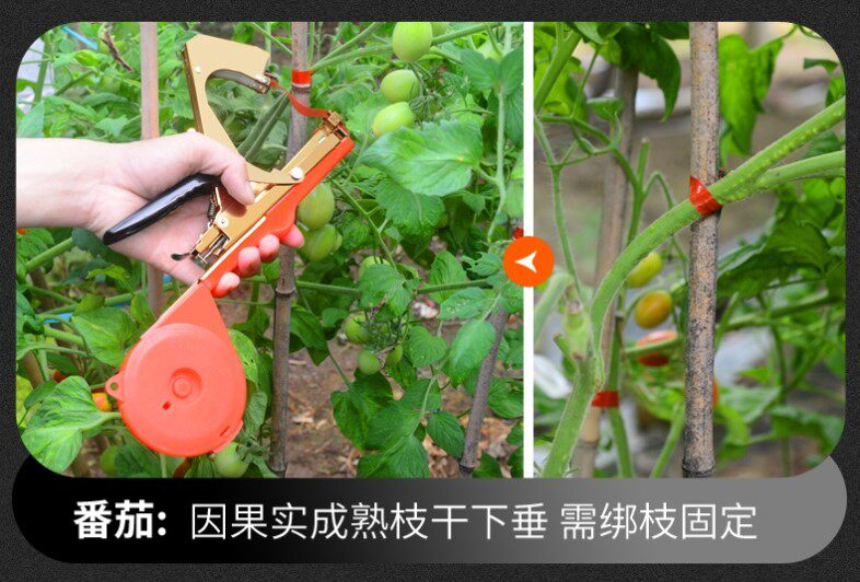 猕猴桃绑架绑绳绑枝带捆扎带绑枝机葡萄树带子绑蔓器绑扎机通用秧