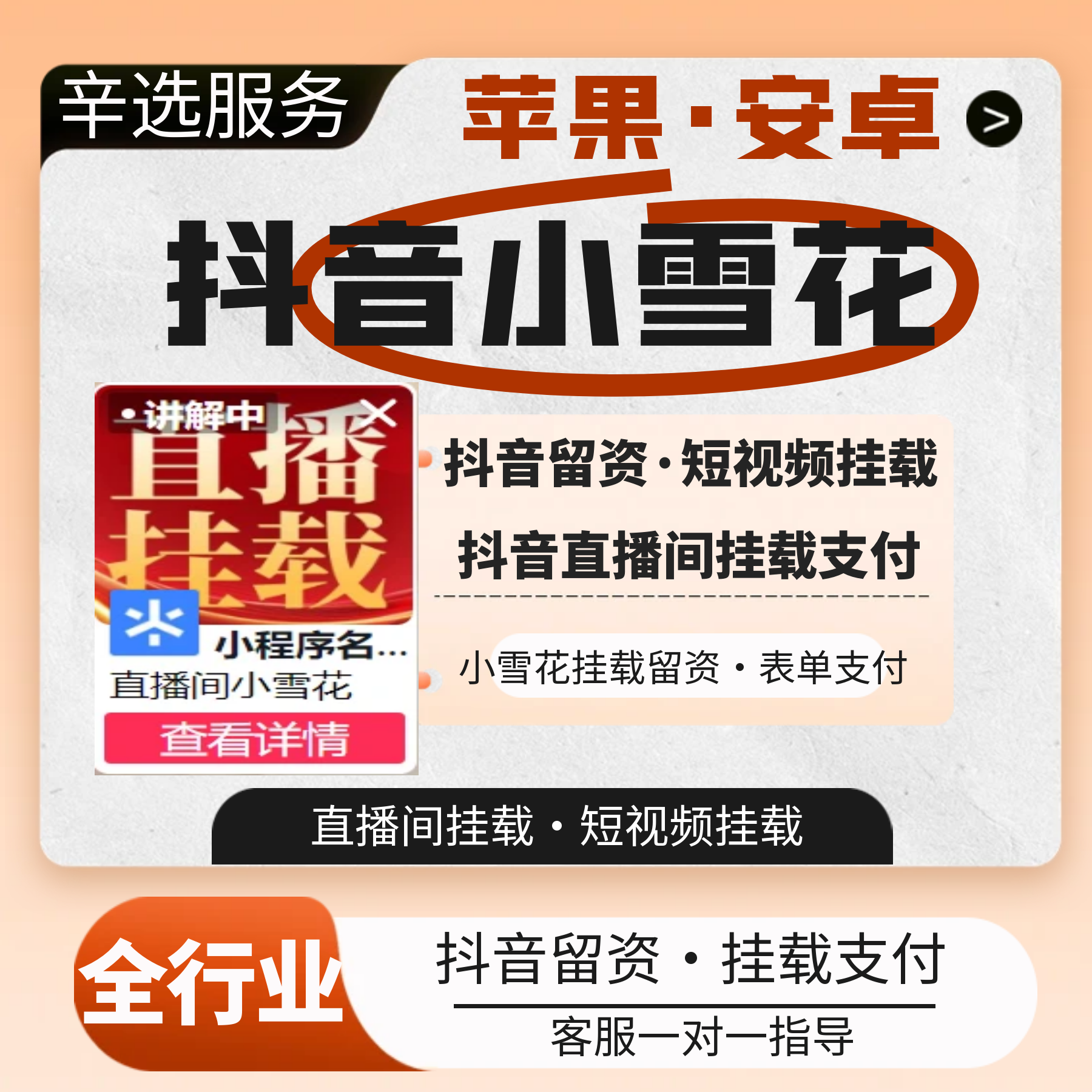 抖音小雪花挂载汽车小程序全行业小雪花直播挂载卖课表单提交支付