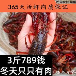 金湖清水小龙虾鲜活活体活虾789钱江苏盱眙龙虾水产食用现货3斤装