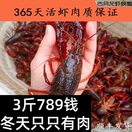 鲜活金湖盱眙365天无空虾小龙虾