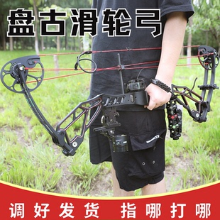 雷瓦侬新款盘古复合弓专业竞技射箭比赛射准复合弓成人户外猎弓箭