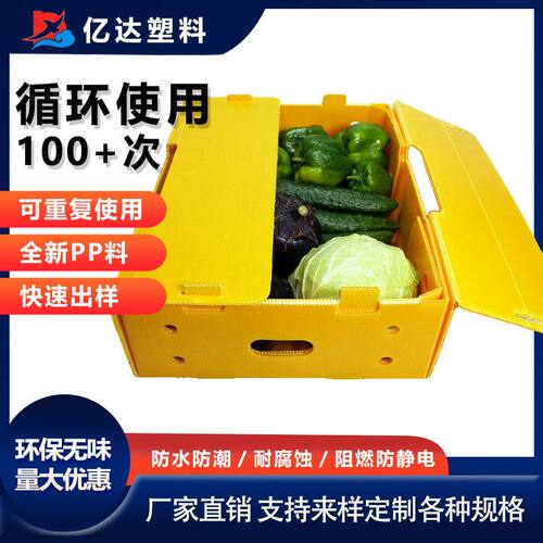 水果箱蔬菜箱果蔬周转箱箩筐放置可拆叠中空板塑料箱子pp板运输箱