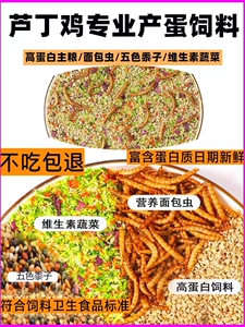 芦丁鹌鹑饲料粮面包虫干育雏产蛋