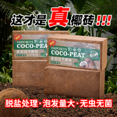椰砖椰壳营养土养花通用型脱盐椰糠大块高泡发粗颗粒椰糠丝椰砖土