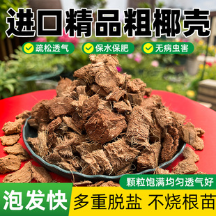 进口大颗粒脱盐椰壳粒椰糠通用透气营养土免泡发粗颗粒兰花植料
