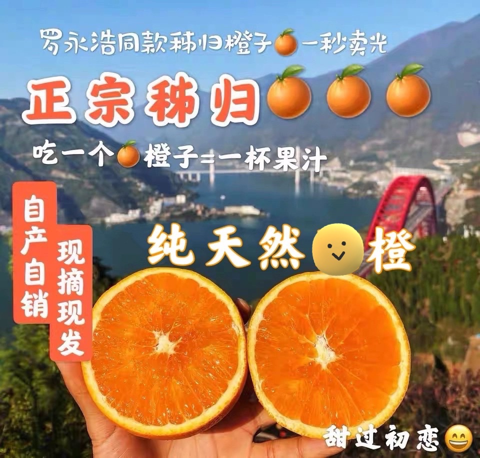 现摘新鲜宜昌秭归超甜长虹果冻橙脐橙孕妇水果江边爆汁当季10斤