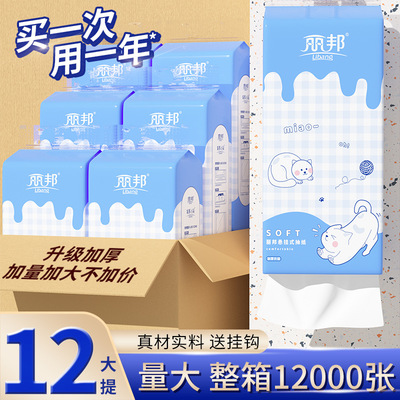 丽邦提挂式抽纸悬挂抽取式卫生纸家用擦手纸厕纸宿舍大包平板纸巾