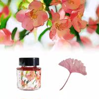 Scented color ink fountain pen ink non-carbon Winter General Bamboo Forest Cyanotic Evening Burn Creative gift for students thumbnail 2