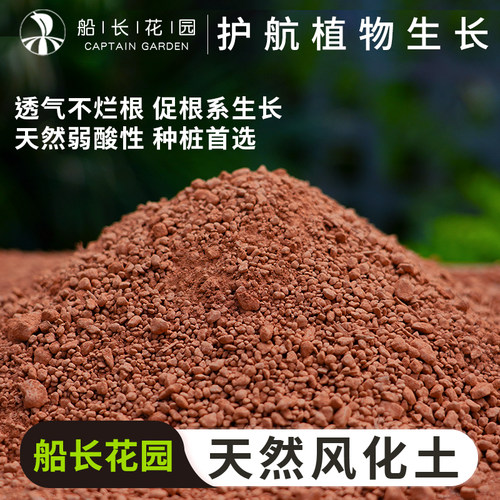 风化土颗粒盆景专用天然颗粒