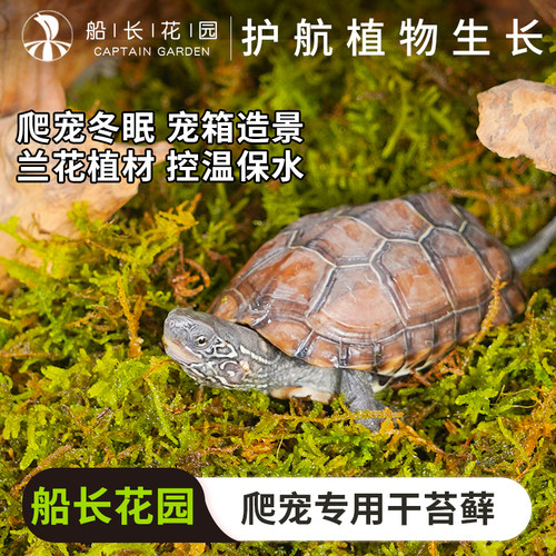 苔藓垫材乌龟爬宠垫材保湿透气守宫冬眠苔藓寄居蟹角蛙造景干水苔