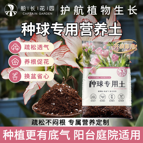 郁金香种球专用土养花通用