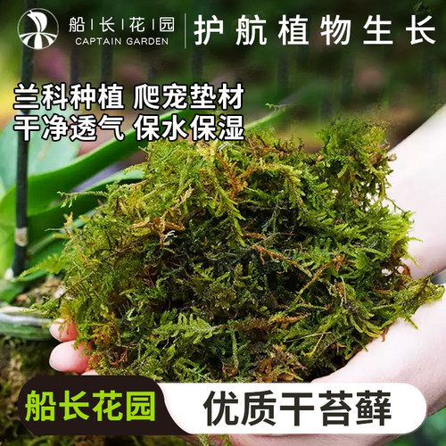 干苔藓蝴蝶兰水苔爬宠垫材干青苔