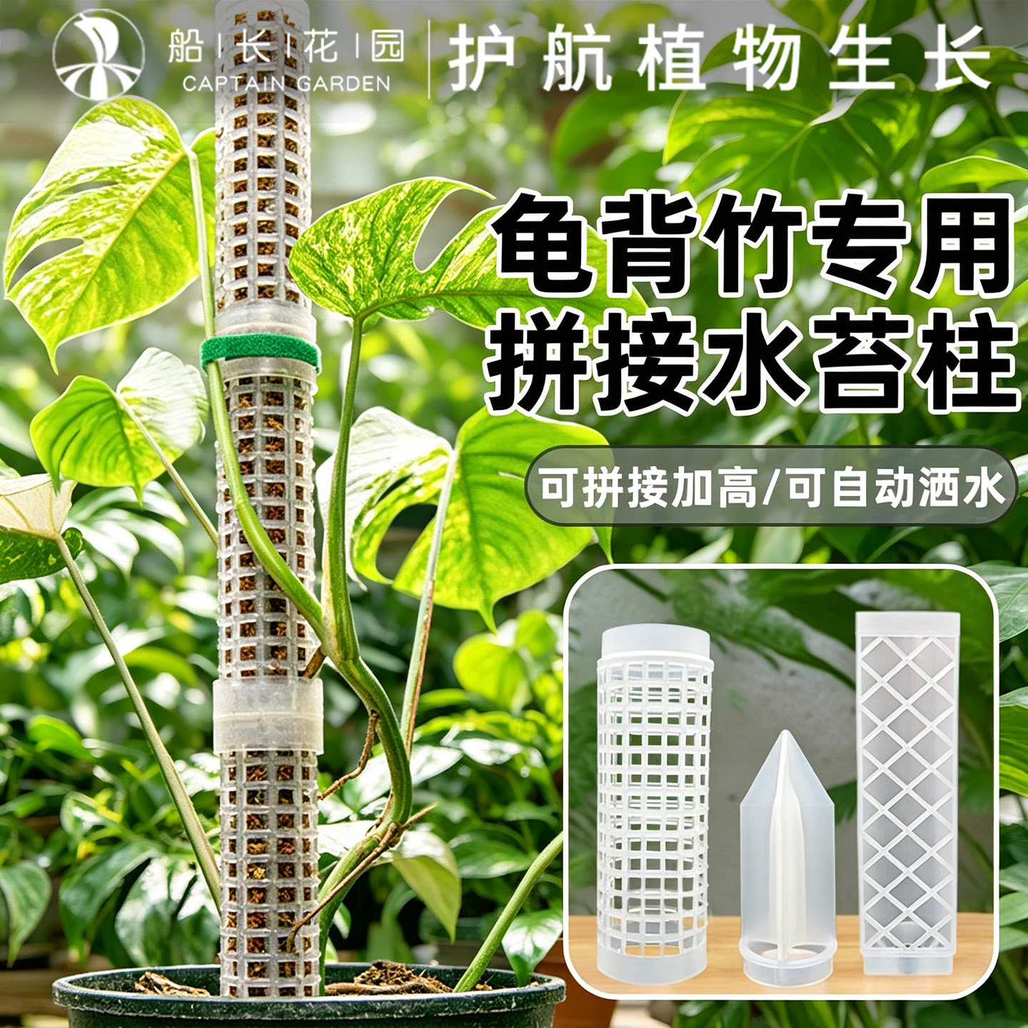 热植专用水苔柱龟背竹攀爬支撑杆图片