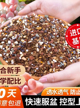 船长多肉营养土专用颗粒土种植养花盆栽通用彩石泥炭花土壤铺面石
