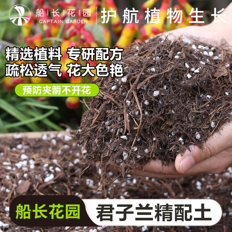松针腐殖土君子兰专用兰科营养土图片