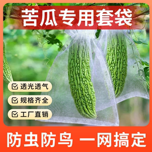苦瓜专用套袋丝瓜黄瓜苹果甜瓜果袋防虫防鸟针蜂神器蔬菜水果网袋