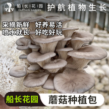 蘑菇种植包家庭平菇种植菌种香菇金针菇榆黄蘑可食用儿童蘑菇菌包