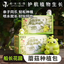 萌芽熊蘑菇种植包茶树菇平菇金针菇家庭自种植菌种懒人儿童菌菇包