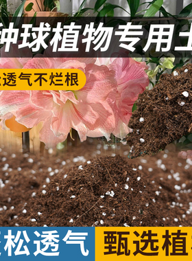 郁金香种球专用土养花通用百合风信子朱顶红专用种植营养泥炭花土