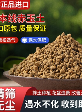 日本进口三本线 线硬质赤玉土盆景专用爬宠多肉纯颗粒铺面石大包