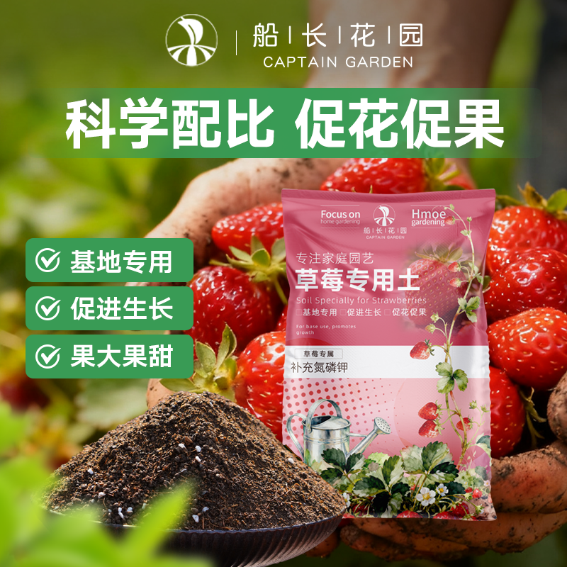 草莓专用土营养土瓜果蔬菜通用土