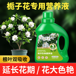 栀子花浓缩营养液植物水溶肥