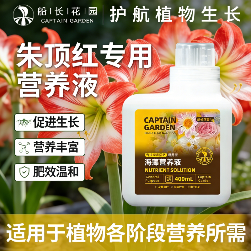 朱顶红专用有机水溶复合肥海藻郁金香阳台养花盆栽植物通用营养液
