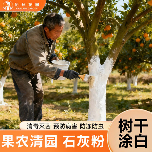 船长花园生石灰粉果树涂白防虫