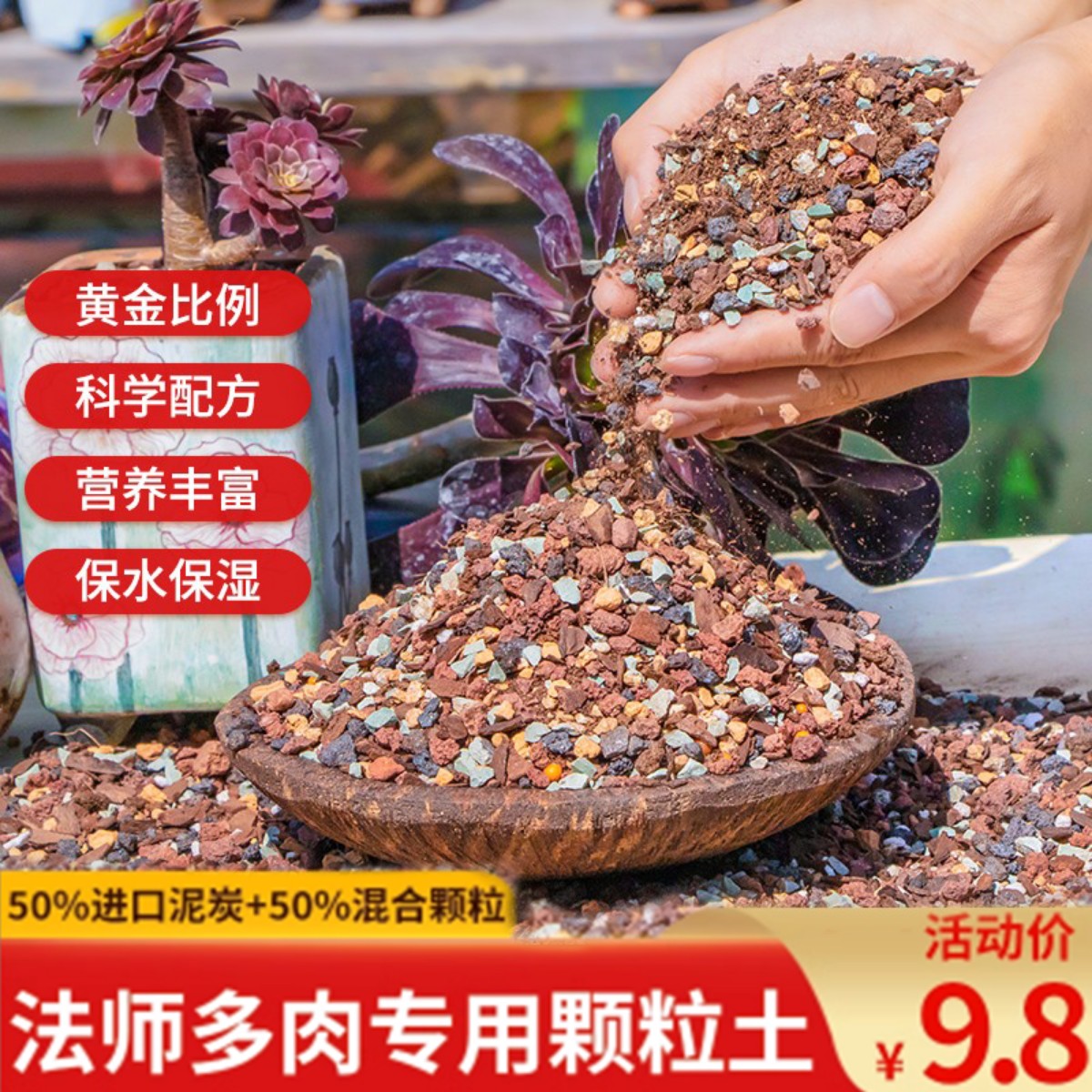 法师多肉专用颗粒土老桩植物叶插换盆土进口泥炭种植花土壤营养土