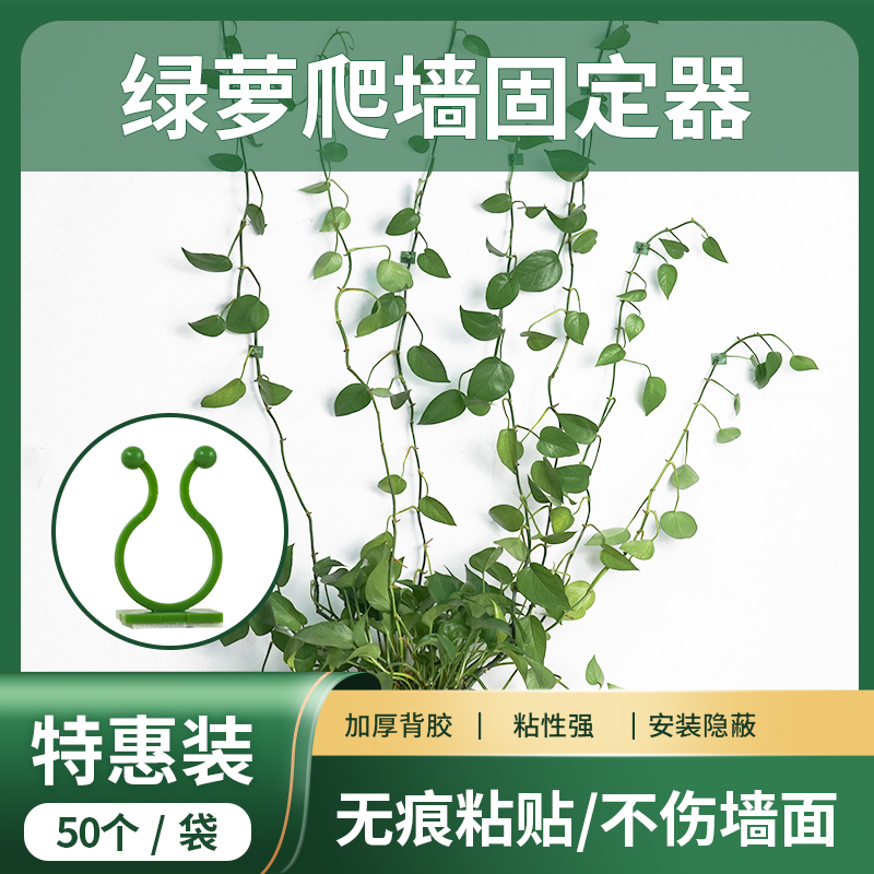 绿萝爬上神器植物固定免打孔夹子