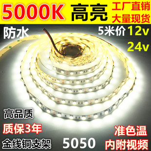 led灯带12v贴片5000K超高亮白光防水软灯条24V白光5500k色温LED灯