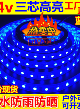 12V高亮24V蓝光防水户外led灯带设备蓝色防雨5050工程软灯条光带