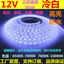 LED12V冷光灯带5050高亮防水冷白灯条12Vled正白暖白冷白中性光