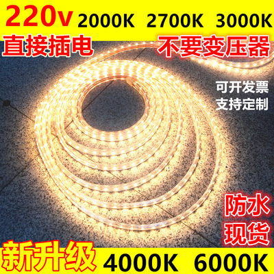 220v高亮防水正白光led灯带