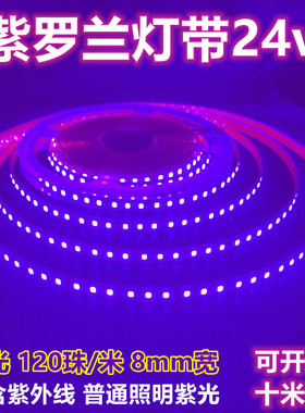 紫罗兰紫光led灯带24v深紫色灯条导光板装饰氛围发光字8mm宽120珠