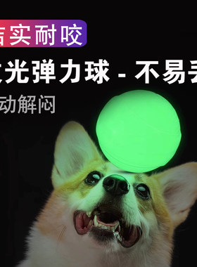 狗狗夜光弹力球实心发光橡胶球