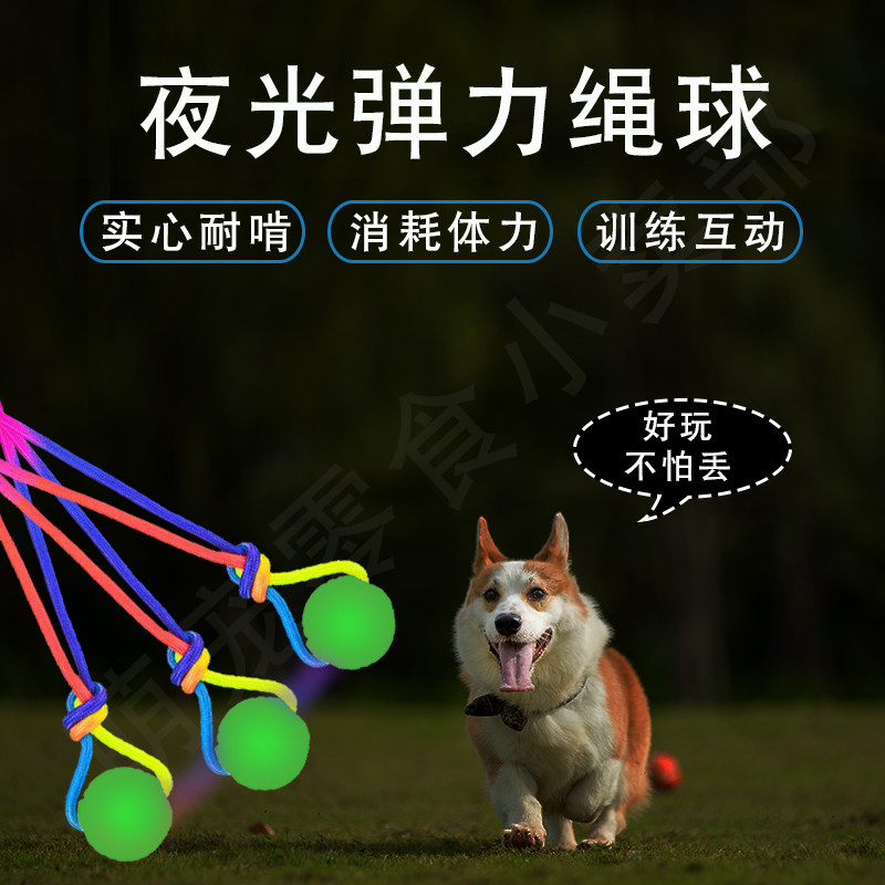 带绳夜光弹力球发光橡胶球狗狗玩具耐咬磨牙训犬球宠物小狗互动图片