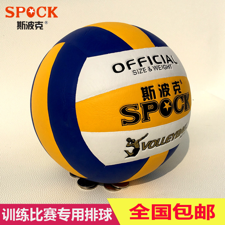 Ballon de volley-ball - Ref 2011147 Image 1